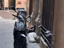 “Non è una guerra ai tossici, il problema è il sistema”: Andrea Piccardo denuncia il degrado nel centro storico di Genova