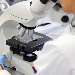 Biophysics Week e Cnr: a Genova la settimana di biofisica per le scuole