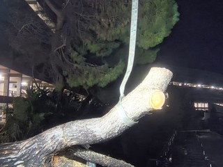 Vigili del fuoco al lavoro Vigili del fuoco al lavoro