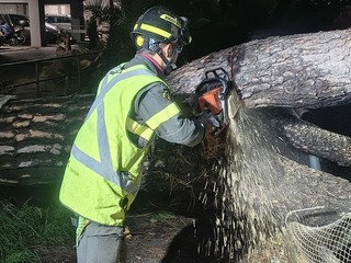 Vigili del fuoco al lavoro Vigili del fuoco al lavoro