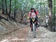 Formazione, turismo e sport. Istituita la figura dell'istruttore cicloturistico e di ciclismo fuori strada in mountain bike