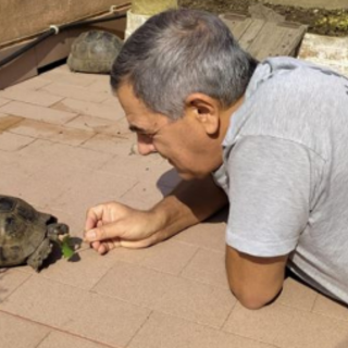 Abbandono cani, Giuseppe Murolo (FdI): "Servono pene più severe e maggiori controlli, un dovere di tutti segnalare maltrattamenti"