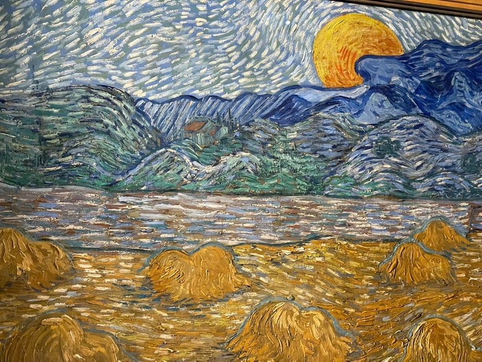 A tu per tu con un capolavoro, a Palazzo Ducale arriva "Cinque minuti con Van Gogh" (Foto e video) A tu per tu con un capolavoro, a Palazzo Ducale arriva "Cinque minuti con Van Gogh" (Foto e video)