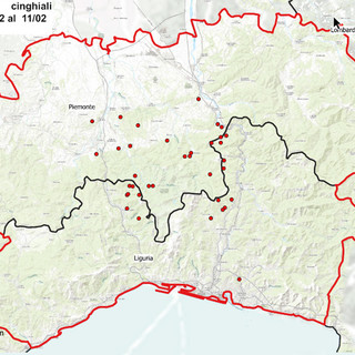 Peste suina, nuova carcassa infetta trovata a Campomorone, salgono a 19 i casi in Liguria