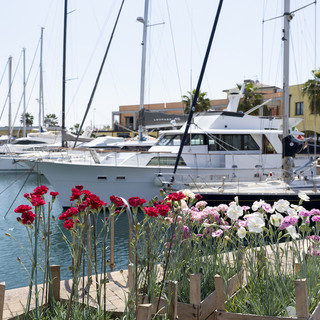 Yacht & Garden, torna a Genova la mostra-mercato dedicata al giardino mediterraneo Yacht & Garden, torna a Genova la mostra-mercato dedicata al giardino mediterraneo