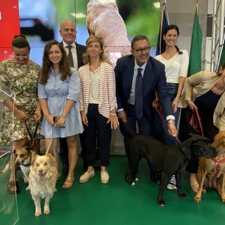"E saremmo noi le bestie", parte la campagna contro l'abbandono degli amici a 4 zampe (Video)