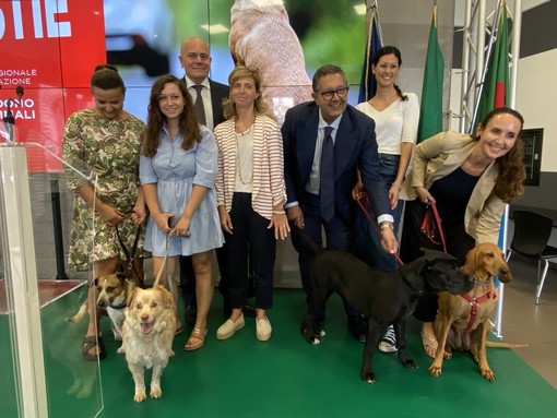"E saremmo noi le bestie", parte la campagna contro l'abbandono degli amici a 4 zampe (Video)