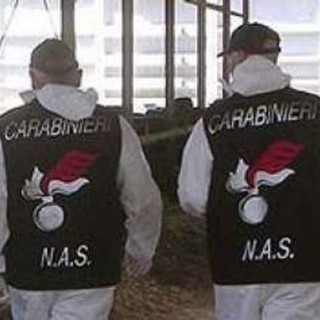 Nas al San Martino: ispezione a seguito di scambio sacche midollo osseo