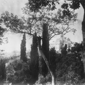 Meraviglie e leggende di Genova - Le luci mistiche di Nostra Signora del Monte
