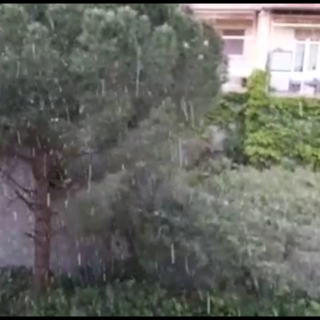 Freddo, vento e nevischio su Genova (VIDEO)