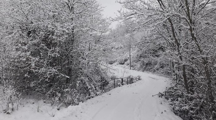 Torna il freddo in Liguria: possibili nevicate tra venerdì e sabato