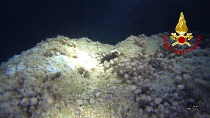 Ordigno bellico in mare a Nervi: sul posto capitaneria e vigili del fuoco