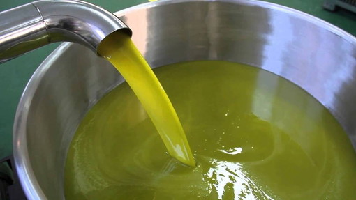 Claudio Muzio: “La Regione al fianco di Coldiretti nella difesa dell’olio d’oliva ligure”