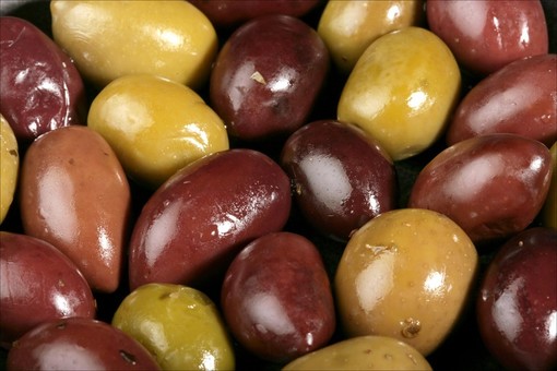 Agricoltura, al via il progetto "Oleoturismo". L'assessore Mai: "Una nuova opportunità per le aziende olivicole di promuovere il loro prodotto" Agricoltura, al via il progetto "Oleoturismo". L'assessore Mai: "Una nuova opportunità per le aziende olivicole di promuovere il loro prodotto"
