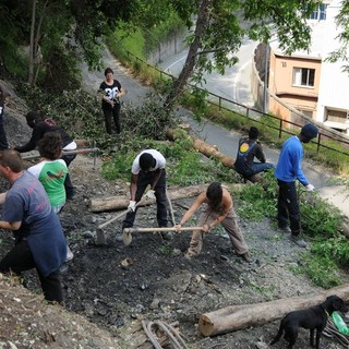 Un’oasi di sostenibilità e comunità, a Campi nasce il più grande orto collettivo d’Europa