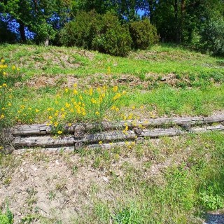 Sestri Levante vince un bando di Fondazione Carige per oasi fiorite e biodiversità nel Parco Montepagano