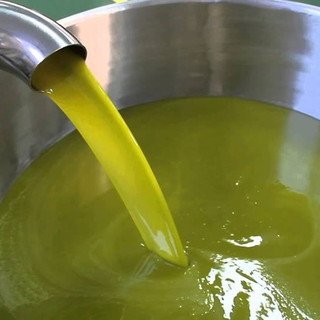 Coldiretti: "Incentivare olio d’oliva ligure"