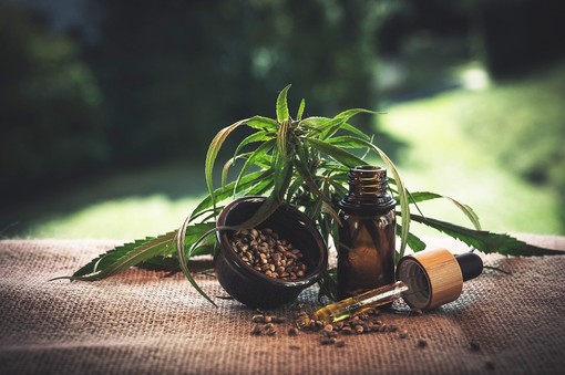 Olio di CBD: gli effetti benefici e le proprietà dell'olio di cannabis