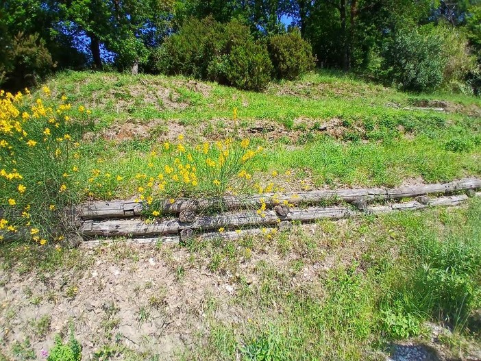 Sestri Levante vince un bando di Fondazione Carige per oasi fiorite e biodiversità nel Parco Montepagano Sestri Levante vince un bando di Fondazione Carige per oasi fiorite e biodiversità nel Parco Montepagano
