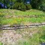 Sestri Levante vince un bando di Fondazione Carige per oasi fiorite e biodiversità nel Parco Montepagano
