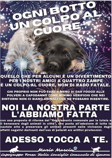 Mascia (Forza Italia): "Ogni botto un colpo al cuore dei nostri amici a quattro zampe" Mascia (Forza Italia): "Ogni botto un colpo al cuore dei nostri amici a quattro zampe"