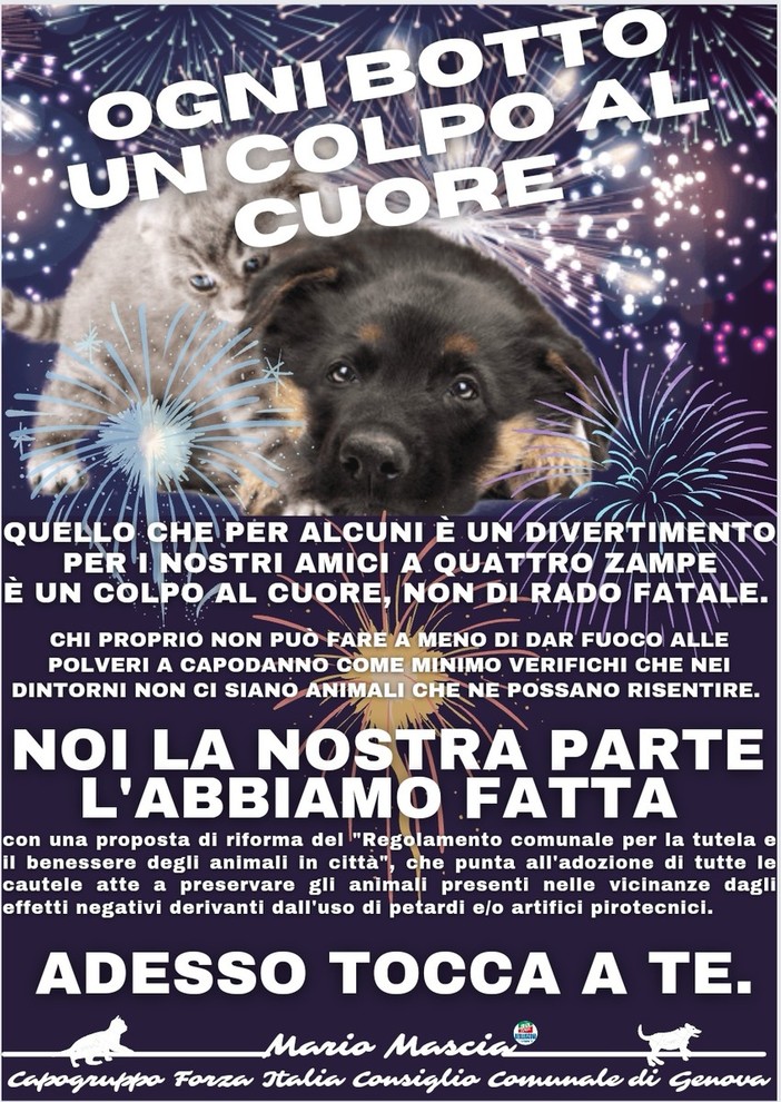 Mascia (Forza Italia): "Ogni botto un colpo al cuore dei nostri amici a quattro zampe" Mascia (Forza Italia): "Ogni botto un colpo al cuore dei nostri amici a quattro zampe"