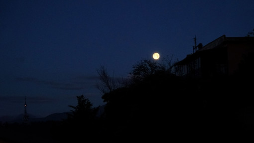 L'immagine dell'occultazione lunare scattata dall'Osservatorio del Righi