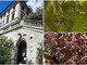 Alla scoperta dell'Orto Botanico ‘Hanbury’, tra alberi secolari e felci tropicali (foto e video)