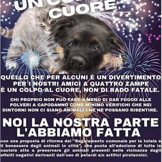 Mascia (Forza Italia): "Ogni botto un colpo al cuore dei nostri amici a quattro zampe"