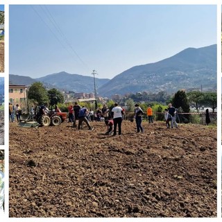 Dall'apiario urbano alla fattoria didattica, il nuovo progetto ‘Oasi Urbana’ nel Municipio IV