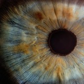 Sclerosi multipla, uno studio dell’Università di Genova punta sul nervo ottico per la diagnosi precoce
