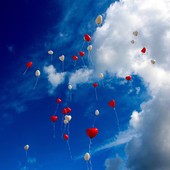 Stop ai palloncini liberati in aria: in consiglio la mozione per metterli al bando