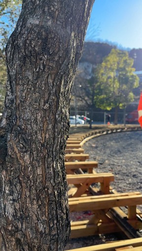 Radura della Memoria, al via la messa a dimora delle 43 piante: restyling completo entro l’estate