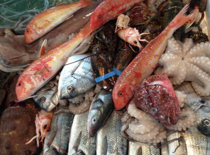 Fermo pesca anche in Liguria, Coldiretti: "Attenzione al prodotto sul banco" Fermo pesca anche in Liguria, Coldiretti: "Attenzione al prodotto sul banco"