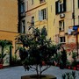“Fare teatro con ragazze e ragazzi in contesti di fragilità”, il 9 giugno l'incontro con Marina Barham allo Spazio Tutto Mondo