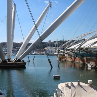 &quot;AmA GENOVA&quot;, i campioni del pattinaggio  in ricordo della tragedia di Ponte Morandi