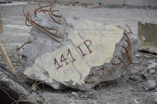 Nominato il traduttore per la relazione svizzera sulle macerie del Morandi Nominato il traduttore per la relazione svizzera sulle macerie del Morandi