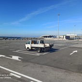 Miasmi alla Foce, scatta l'indagine della Procura