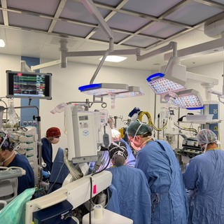 San Martino, primo prelievo di cuore e polmoni da donatore a cuore fermo: “Traguardo storico per la Liguria” San Martino, primo prelievo di cuore e polmoni da donatore a cuore fermo: “Traguardo storico per la Liguria”