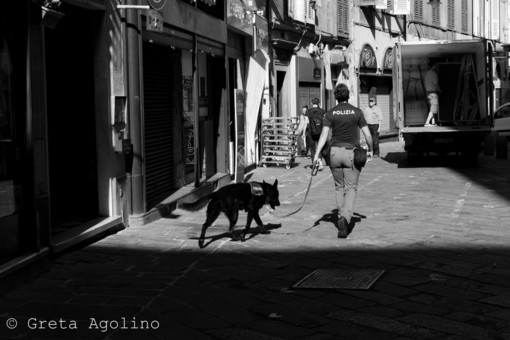 Denunciato un pusher dei vicoli di Genova grazie al cane antidroga