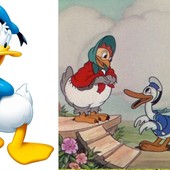 Paperino, il personaggio Disney da sempre più amato, compie novant'anni: ma non li sente proprio Paperino, il personaggio Disney da sempre più amato, compie novant'anni: ma non li sente proprio