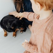 Pet therapy nelle scuole comunali, via libera alla mozione della Lega: “Non è solo gioco, ma educazione e crescita”