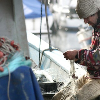 Pesca, Coldiretti,  plauso alla legge “Salva mare”, Boeri e Rivarossa: “I pescatori contribuiranno a tenere puliti i mari”
