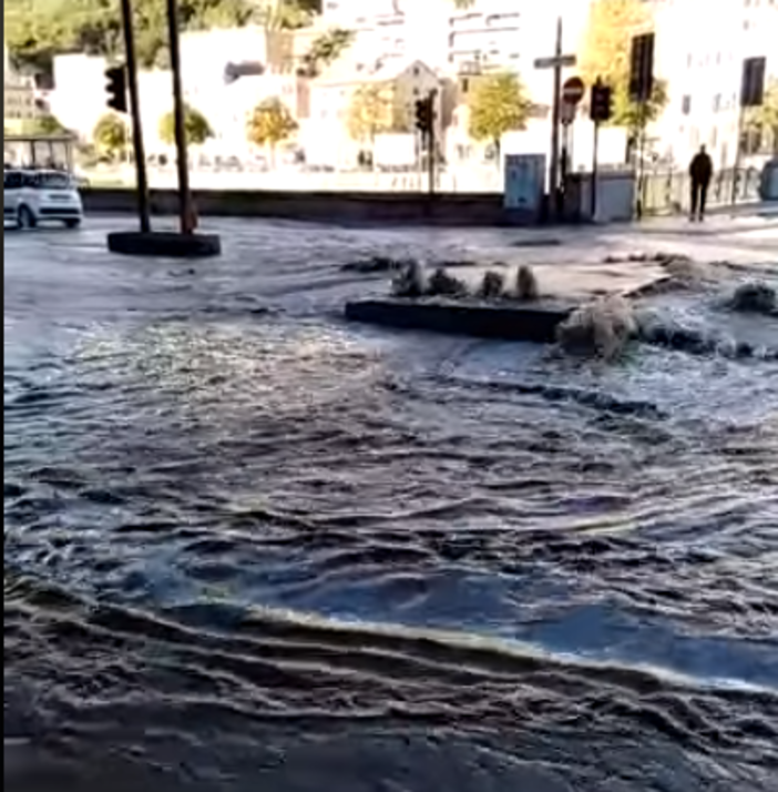 Chiusi piazzale Parenzo e ponte Campanella: in corso le operazioni di ripristino della sede stradale Chiusi piazzale Parenzo e ponte Campanella: in corso le operazioni di ripristino della sede stradale