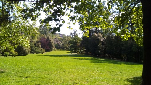 Villa Serra, Piciocchi: "Cerchiamo un modello più efficiente per la gestione"