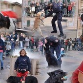 Pegli in Bau, una giornata tra gioco, soccorso e dimostrazioni con i cani Pegli in Bau, una giornata tra gioco, soccorso e dimostrazioni con i cani