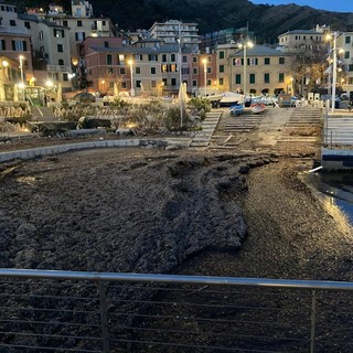 Nervi, telecamere per la ZTL, uno studio per il porticciolo e un piano straordinario per le palme