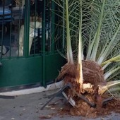 Foto Facebook Foto Facebook