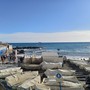 Priaruggia, scatta il divieto temporaneo di balneazione