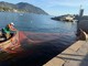Recco: funzionano le reti posate per proteggere il fondale marino durante i fuochi